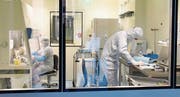 Auch in Deutschland wird an der Zelltherapie geforscht. Blick in die Räumlichkeiten des Fraunhofer Instituts in Leipzig. (Bild: Waltraud Grubitzsch/Keystone (Leipzig, 20. November 2017)