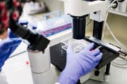 Von sogenannten Biosimilars verspricht sich die Pharmaindustrie steigende Umsatzzahlen. (Bild: Christian Beutler)