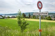 Steckborn TG - Die Scheitingerwiese in Steckborn soll sieben Wohnblöcken weichen. (Bild: Reto Martin)