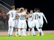 Die FCZ-Spieler im kollektiven Jubel. (Bild: KEYSTONE/ENNIO LEANZA)