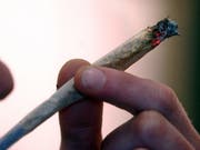 Der Bundesrat will Cannabis-Pilotversuche in Zukunft erlauben. In der Vernehmlassung kommen seine Pläne gut an. Eine breite Allianz aus Parteien und Suchtverbänden erhofft sich davon Erkenntnisse für den künftigen Umgang mit Cannabis. Dagegen ist die SVP. (Bild: Keystone/EDI ENGELER)