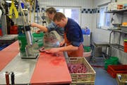 Metzger Walter Willi und Lehrling Silvan Krucker müssen vorsichtig arbeiten, damit die Blutwürste nicht platzen. (Bild: Lara Wüest)