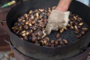 Die Marroni steht im Mittelpunkt. (Bild: Archiv)