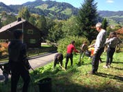 An der Schmidbergstrasse werden Blacken gestochen. (Bild: PD)