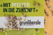 Eines der ambitionierten Ziele der GLP: Bei den nächsten Nationalratswahlen möchten sie zweitstärkste Jungpartei im Kanton St.Gallen werden. (Bild: KEYSTONE/Christian Beutler)