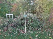 So einfach kann man kleineren Wildtieren in der Stadt das Leben einfacher machen: einer der Asthaufen neben dem Halden-Schuldhaus. (Bild: PD)