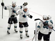 Timo Meier erfreut sich einer blendenden Verfassung und erzielte in den letzten vier Spielen für die San Jose Sharks fünf Tore (Bild: KEYSTONE/AP/MARK HUMPHREY)