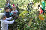 Mit Material, das das Gartenbauamt (neu Stadtgrün) bereitgestellt hat, werden Asthaufen beim Halden-Schulhaus aufgeschichtet.