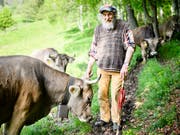 Armin Capaul muss zittern: seine Hornkuh-Initiative verliert gemäss der zweiten Tamedia-Umfrage zu den Eidg. Abstimmungen vom 25. November an Terrain. (Bild: KEYSTONE/MANUEL LOPEZ)
