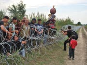 Syrische Flüchtlinge an der serbisch-ungarischen Grenze unweit der ungarischen Gemeinde Röszke im Sommer 2015. (Bild: KEYSTONE/EPA DPA/GREGOR MAYER)