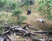 Die Wandersfrau und ihr Hund kraxeln den Hang hinauf. Bild: Videostill