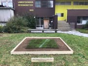 Das 1,5 Quadratmeter grosse Stück des abgetragenen FCL-Rasens ist im KKL Beromünster beim Landessender ausgestellt. (Bild: PD)