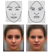 Körperfett verändert die Gesichtsform. (Bild: Universität Wien)