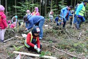 Die Lehrpersonen koordinieren den Einsatz der Werkzeuge.