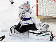 Feiert seinen ersten Shutout für Fribourg: Ludovic Waeber (Bild: Keystone/LAURENT GILLIERON)