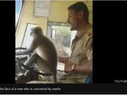 Er kraulte den Affen - und liess ihn ans Lenkrad: Ein Buschauffeur im südindischen Bundesstaat Karnataka hat diese Aktion gefilmt und ist suspendiert worden. (Bild: Screenshot Youtube)