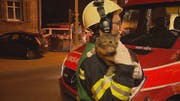 Ein Weinfelder Feuerwehrmann bringt die verängstigte Katze Inka nach der Rettung aus dem Haus in Sicherheit. (Bild: BRK News)