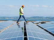 Erneuerbare Energien auf dem Vormarsch: 2017 wuchs der Anteil der erneuerbaren Energien am globalen Verbrauch um 5 Prozent. (Bild: KEYSTONE/THOMAS DELLEY)