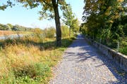 Auf diesem Abschnitt des Uferweges am Alten Rhein ist der Hochwasserschutz bereits fertiggestellt. Auch vorne beim noch fehlenden Stück wäre die Dammkrone kaum höher als hier die Mauer. (Bild: Rudolf Hirtl)