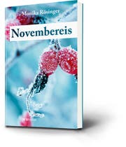 Der Roman «Novembereis» ist im Orte-Verlag, Schwellbrunn, erschienen. (Bild: PD)
