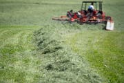 Im Trockensommer 2018 konnten die Landwirte im Mittel einen Schnitt weniger ausführen. (Bild: Urs Jaudas)