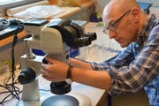 Johannes Kottonau, Lehrer für Biologie und Chemie an der Kanti Frauenfeld, nimmt die Stereolupe aus Max Schneiders Nachlass unter die Lupe. (Bild: Mathias Frei)