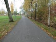 Ein Teil des Altenrheiner Ifangwegs soll durch einen Steg ersetzt werden. Dann ist der Weg zwischen den Feuchtgebieten, die durch den Asphaltstreifen unterbrochen sind, für Amphibien wieder passierbar. (Bild: Kurt Latzer)