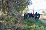 Markierungen im Winschutzstreifen zeigen, dass dieser zu einem grossen Teil gerodet werden muss, weil die Aufweitung des Simmigerinnes bis hierhin Erdarbeiten und Aushub nötig machen. Es werden aber neue, standortgerechte Bäume und Sträucher gepflanzt. Bild: Thomas Schwizer