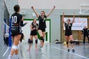 Die Spielerinnen freuen sich über die gewonnenen Punkte.(Bild: Maria Schmid ( Steinhausen, 10. November 2018 ))