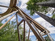 Der Baumwipfelpfad in Mogelsberg wurde mit dem neuen Pilz-Mittel behandelt. (Bild: Hanspeter Schiess)
