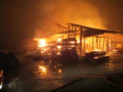 Ein Brand zerstörte in Jonen AG eine Halle, in der Pferde untergebracht waren. Alle Pferde konnten gerettet werden. (Bild: Handout Kantonspolizei Aargau)