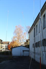 Im Hintergrund sind die Bäume zu sehen, die der Einsprecher schützen will. (Bild: jor)