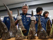 China will vorerst auf den Handel von Nashornhörnern und Tigerknochen verzichten. (Bild: KEYSTONE/EPA/FAZRY ISMAIL)