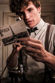 Eddie Redmayne als Newt Scamander. (Bild: PD)