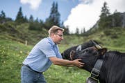 TToni Brunner: Bauer und Politiker aus Leidenschaft. Bild: Benjamin Manser (Malbun, 9. Juni 2018)