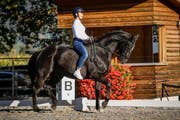 Turnierpferd Mocca reitet Léonie Guerra seit sechs Jahren. Die beiden verbindet eine besondere Beziehung. Mit ihm kann sie ohne Sattel Dressurlektionen reiten. (Bild: PD)