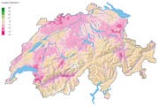 Schweizweit gehören Vögel des Kulturlands zu den grossen Verlierern: Die Vogelarten der «Umweltziele Landwirtschaft» haben in den letzten 20 Jahren weiterhin abgenommen. (Bild: Schweizerische Vogelwarte Sempach)