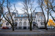 Die sechs Linden auf der Westseite der Tonhalle in St. Gallen werden gefällt. (Bild: Urs Bucher/ 10. November 2018)