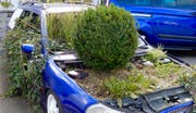 Künstlerischer Ausdruck oder politische Botschaft? Fest steht: Dieses Auto fährt nicht mehr. (Leserbild: Heinz Schürmann (Sachseln, 6. Oktober 2018))