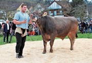 Sieger am Verbandsfest in Thal: der Bündner Armon Orlik mit Muni Kison. (Bild: Emil Bürer)