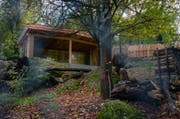 Blick in die neue Fuchsanlage im Natur- und Tierpark Goldau. (Bild: PD)