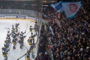 Ambris Spieler und die Curva Sud feiern den Sieg über Lausanne. (Bild: Davide Agosta (Ambri-Piotta, 24. November 2018))