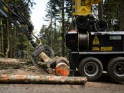 Die Aargauer Stimmberechtigen haben entschieden, dass die Waldbesitzer nicht mehr Geld für die Bewirtschaftung der Wälder erhalten. (Bild: Keystone/GIAN EHRENZELLER)
