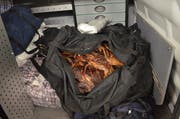 978 Kilo Fleischwaren, 113 Kilo Frischkäse, 15 Liter Spirituosen und 1400 Zigaretten wurden sichergestellt. (Bild: Eidgenössische Zollverwaltung)