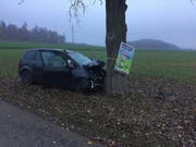 In einen einzelnen Baum geprallt: Der Autolenker kam beim Selbstunfall in Scherz AG ums Leben. (Bild: Handout Kantonspolizei Aargau)