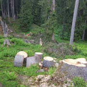 Waldweiden müssen unterhalten werden. (Bild: PD)
