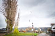 Mit einem Helikopter werden die sechs Ermatinger Pappeln am Seeufer gefällt. Eine Pappel wurde in rund sieben Stücke unterteilt und dann jeweils Stück für Stück abgetragen. (Bild: Andrea Stalder)