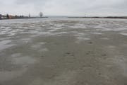 Sand soweit das Auge reicht: Bei der Badi Speck in Staad ist das Ufer trocken. (Bild: jor)