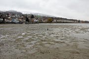 Wo sich normalerweise der See erstreckt, ist nur Sand übrig. Verantwortlich dafür ist der heisse, regenarme Sommer. (Bild: Jolanda Riedener)