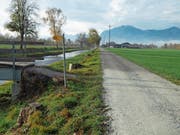 Hell- über Dunkelgrau bis Grün: Fünf unterschiedliche Beläge werden am Kanal zwischen Kriessern und Rebstein getestet. (Bild: Kurt Latzer)